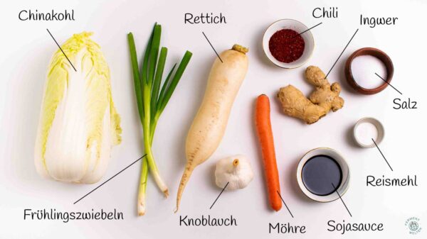 Zutaten für veganes Kimchi mit Beschriftung