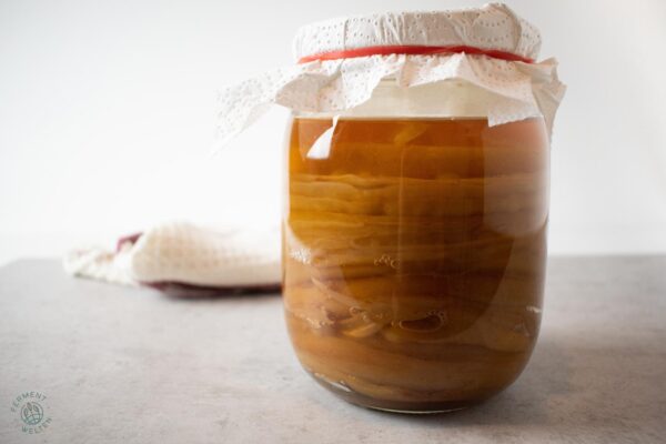 SCOBY-Kombucha-Teepilz-Hotel