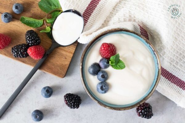 veganen-joghurt-selber-herstellen-mit-starterkultur